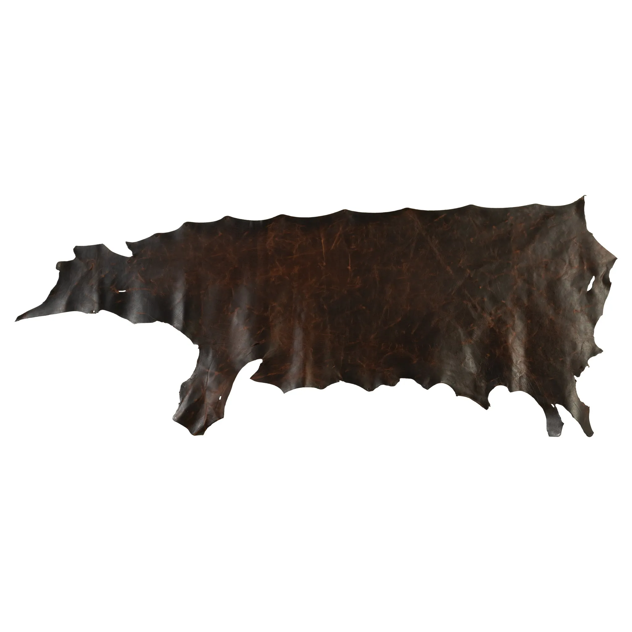 American Bison Leather, Side