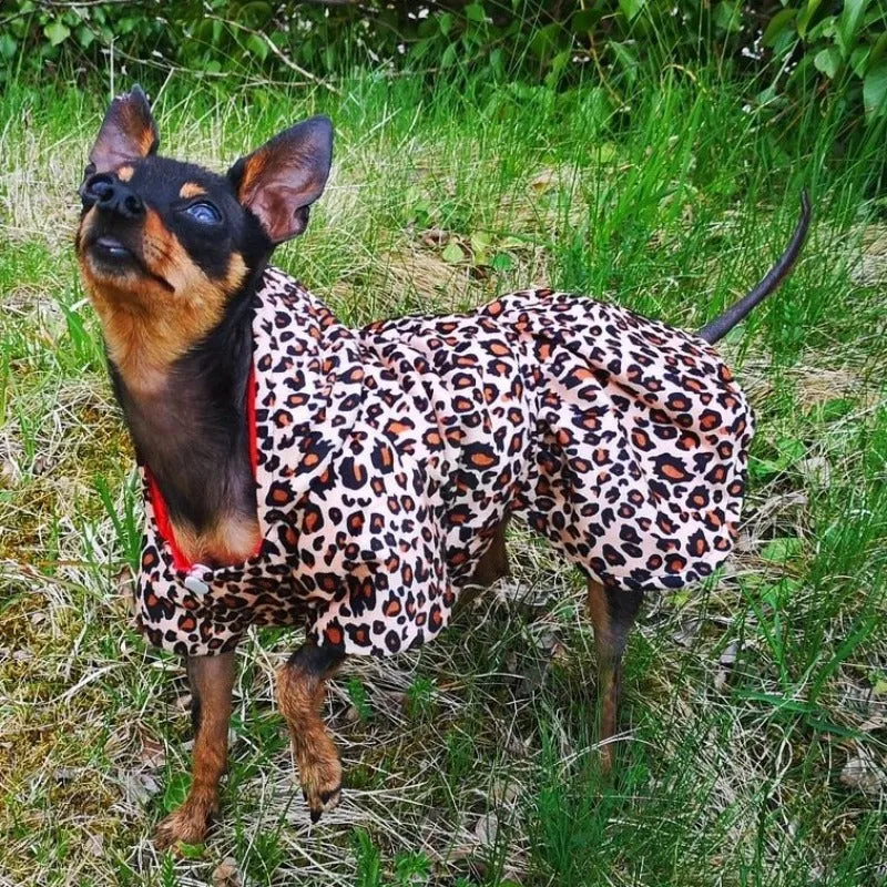 Reversible Red Leopard Hooded Dog Coat